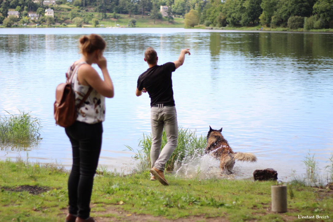 Le chien s'amuse dans le lac